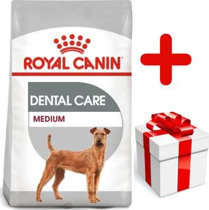 Royal Canin ROYAL CANIN CCN Medium Dental Care 10kg + niespodzianka dla psa GRATIS! 1