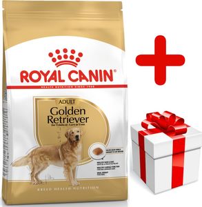 Royal Canin ROYAL CANIN Golden Retriever Adult 12kg karma sucha dla psów dorosłych rasy golden retriever + niespodzianka dla psa GRATIS! 1