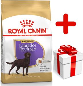 Royal Canin ROYAL CANIN Labrador Retriever Sterilised Adult 12kg + niespodzianka dla psa GRATIS! 1