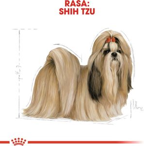 Royal Canin ROYAL CANIN Shih Tzu Adult 7,5kg karma sucha dla psów dorosłych rasy shih tzu + niespodzianka dla psa GRATIS! 6
