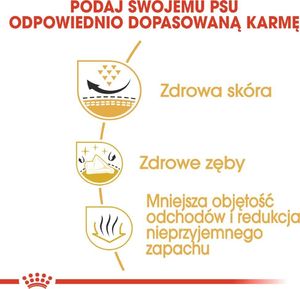 Royal Canin ROYAL CANIN Shih Tzu Adult 7,5kg karma sucha dla psów dorosłych rasy shih tzu + niespodzianka dla psa GRATIS! 8