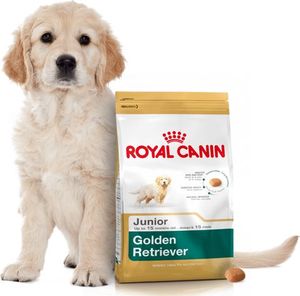 Royal Canin ROYAL CANIN Golden Retriever Puppy 12kg + niespodzianka dla psa GRATIS! 4