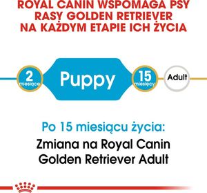 Royal Canin ROYAL CANIN Golden Retriever Puppy 12kg + niespodzianka dla psa GRATIS! 7