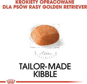 Royal Canin ROYAL CANIN Golden Retriever Puppy 12kg + niespodzianka dla psa GRATIS! 8