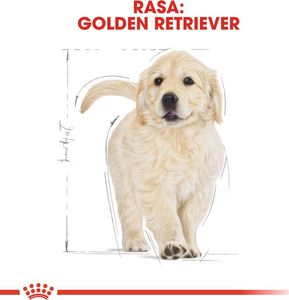 Royal Canin ROYAL CANIN Golden Retriever Puppy 12kg + niespodzianka dla psa GRATIS! 10