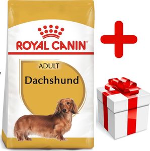 Royal Canin ROYAL CANIN Dachshund 7,5kg karma sucha dla psów dorosłych rasy jamnik + niespodzianka dla psa GRATIS! 1