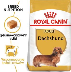 Royal Canin ROYAL CANIN Dachshund 7,5kg karma sucha dla psów dorosłych rasy jamnik + niespodzianka dla psa GRATIS! 3