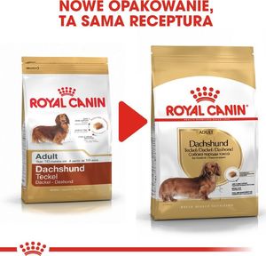 Royal Canin ROYAL CANIN Dachshund 7,5kg karma sucha dla psów dorosłych rasy jamnik + niespodzianka dla psa GRATIS! 4