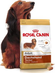 Royal Canin ROYAL CANIN Dachshund 7,5kg karma sucha dla psów dorosłych rasy jamnik + niespodzianka dla psa GRATIS! 6