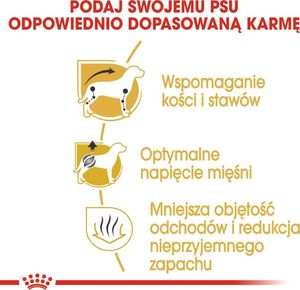 Royal Canin ROYAL CANIN Dachshund 7,5kg karma sucha dla psów dorosłych rasy jamnik + niespodzianka dla psa GRATIS! 10
