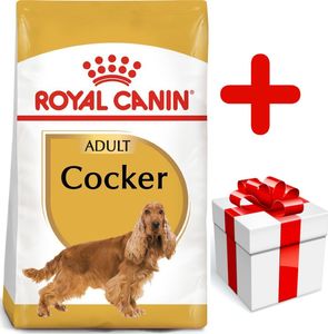 Royal Canin ROYAL CANIN Cocker Spaniel Adult 12kg karma sucha dla psów dorosłych rasy cocker spaniel + niespodzianka dla psa GRATIS! 1