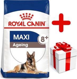 Royal Canin ROYAL CANIN Maxi Ageing 8+ 15kg karma sucha dla psów dojrzałych, po 8 roku życia, ras dużych + niespodzianka dla psa GRATIS! 1