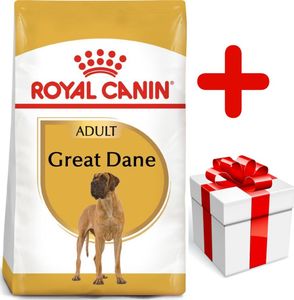 Royal Canin ROYAL CANIN Great Dane Adult 12kg karma sucha dla psów dorosłych rasy dog niemiecki + niespodzianka dla psa GRATIS! 1