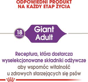 Royal Canin ROYAL CANIN Giant Adult 2x15kg karma sucha dla psów dorosłych, od 18/24 miesiąca życia, ras olbrzymich 4