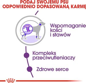 Royal Canin ROYAL CANIN Giant Adult 2x15kg karma sucha dla psów dorosłych, od 18/24 miesiąca życia, ras olbrzymich 5