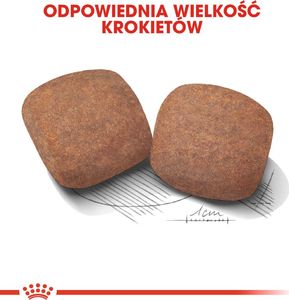 Royal Canin ROYAL CANIN Giant Adult 2x15kg karma sucha dla psów dorosłych, od 18/24 miesiąca życia, ras olbrzymich 6