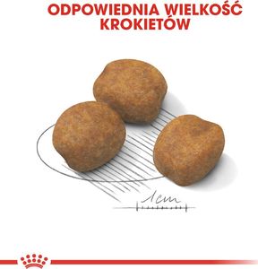 Royal Canin ROYAL CANIN Giant Puppy 2x15kg karma sucha dla szczeniąt, od 2 do 8 miesiąca życia, ras olbrzymich 5