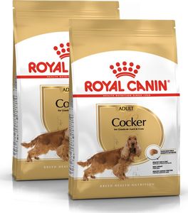 Royal Canin ROYAL CANIN Cocker Spaniel Adult 2x12kg karma sucha dla psów dorosłych rasy cocker spaniel 1