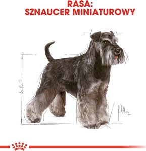 Royal Canin ROYAL CANIN Miniature Schnauzer Adult 7,5kg karma sucha dla psów dorosłych rasy schnauzer miniaturowy + niespodzianka dla psa GRATIS! 5