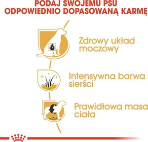 Royal Canin ROYAL CANIN Miniature Schnauzer Adult 7,5kg karma sucha dla psów dorosłych rasy schnauzer miniaturowy + niespodzianka dla psa GRATIS! 7