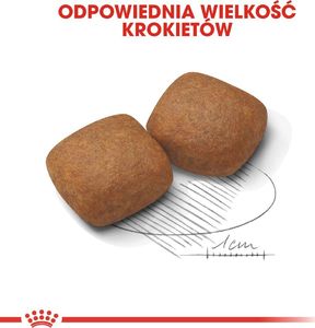 Royal Canin ROYAL CANIN Giant Junior 2x15kg karma sucha dla szczeniąt od 8 do 18/24 miesiąca życia, ras olbrzymich 6