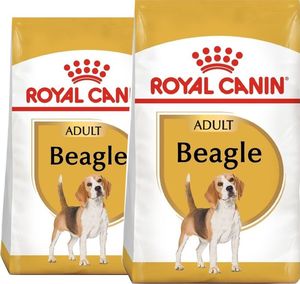 Royal Canin ROYAL CANIN Beagle Adult 2x12kg karma sucha dla psów dorosłych rasy beagle 1