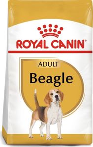 Royal Canin ROYAL CANIN Beagle Adult 2x12kg karma sucha dla psów dorosłych rasy beagle 12