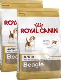 Royal Canin ROYAL CANIN Beagle Adult 2x12kg karma sucha dla psów dorosłych rasy beagle 3