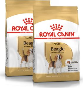 Royal Canin ROYAL CANIN Beagle Adult 2x12kg karma sucha dla psów dorosłych rasy beagle 4
