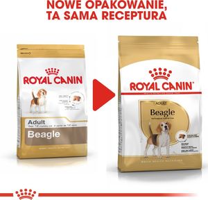 Royal Canin ROYAL CANIN Beagle Adult 2x12kg karma sucha dla psów dorosłych rasy beagle 7