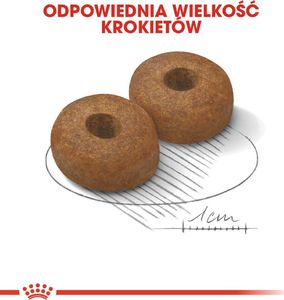 Royal Canin Maxi Ageing 8+ 2x15kg 9