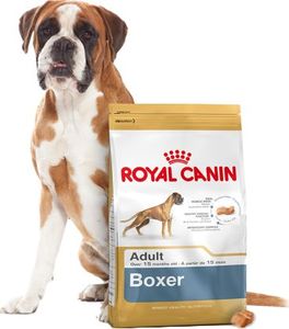 Royal Canin ROYAL CANIN Boxer Adult 12kg karma sucha dla psów dorosłych rasy bokser 5
