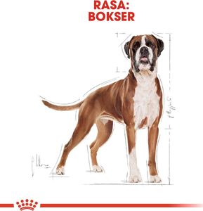 Royal Canin ROYAL CANIN Boxer Adult 12kg karma sucha dla psów dorosłych rasy bokser 10