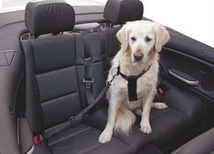 Kerbl Pas bezpieczeństwa dla psa, regulowany, 50-70 cm 1