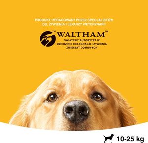Pedigree PEDIGREE Adult 15kg (duże rasy) - sucha karma dla psów z wołowiną + SKARPETY GRATIS 6