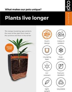 Capi Capi Donica Clay Elegant Deluxe, 50 x 72 cm, kość słoniowa 5