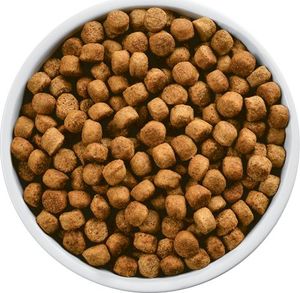 Hills  HILL'S PD Prescription Diet Canine w/d 4kg + niespodzianka dla psa GRATIS! 5