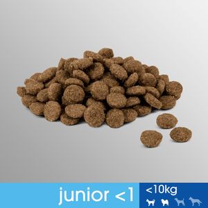Perfect Fit Karma Junior 3 x 825g Bogaty w kurczaka - sucha karma dla psów małych ras 8