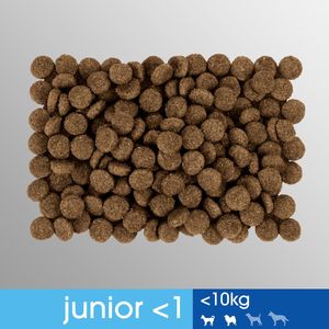 Perfect Fit Karma Junior 3 x 825g Bogaty w kurczaka - sucha karma dla psów małych ras 9