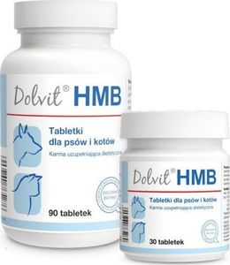 Dolfos Dolvit HMB 90 tabletek 1