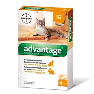 Bayer Advantage - dla kotów (0,4mlx4) *roztwór* blister 1