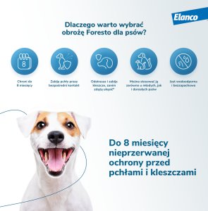 Elacno Foresto Obroża przeciw kleszczom i pchłom dla psów powyżej 8kg + NIESPODZIANKA DLA PSA GRATIS !! 9