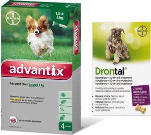 Bayer Advantix - dla psów do 4kg (4 pipety x 0,4ml) + Drontal - Dog flavour 2tabl. (kostki) 1