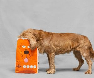 Tomojo TOMOJO Karma Insect dla psa 2kg 3