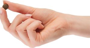 Tomojo TOMOJO Karma Insect dla psa 2kg 4