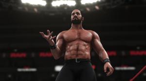 Microsoft WWE 2K18: Digital Deluxe Edition Xbox One 10