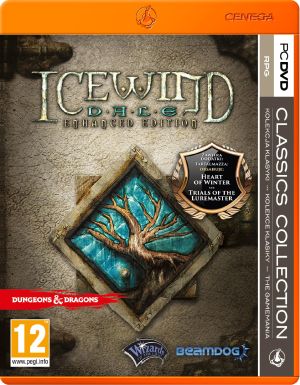Icewind Dale Enhanced Edition PC 1