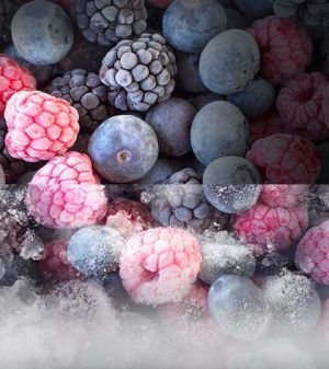 Lodówka Samsung RB30J3000SA 12