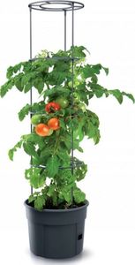 Prosperplast Doniczka do pomidorów Tomato Grower IPOM400 1
