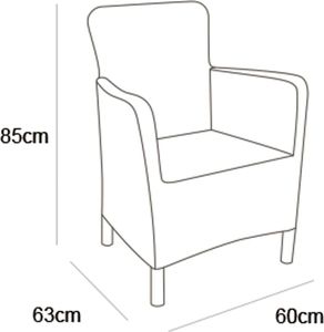 Allibert Krzesło ogrodowe Trenton, grafitowe 3